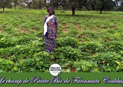 Le champ de patate bio de Fatoumata Coulibaly