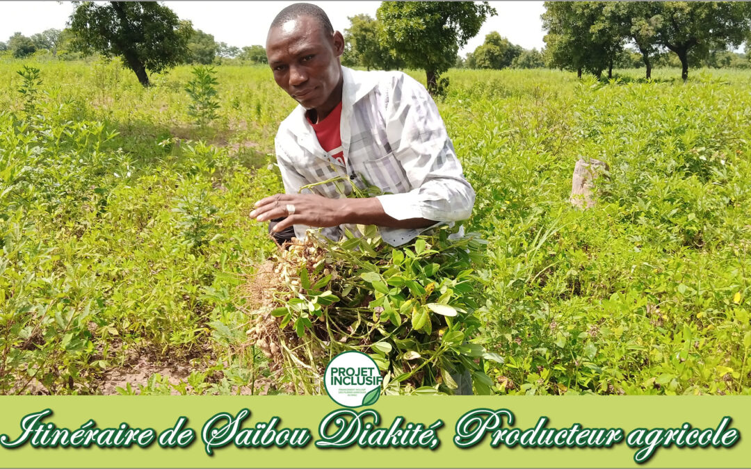 Itinéraire de Saïbou DIAKITE, Producteur agricole