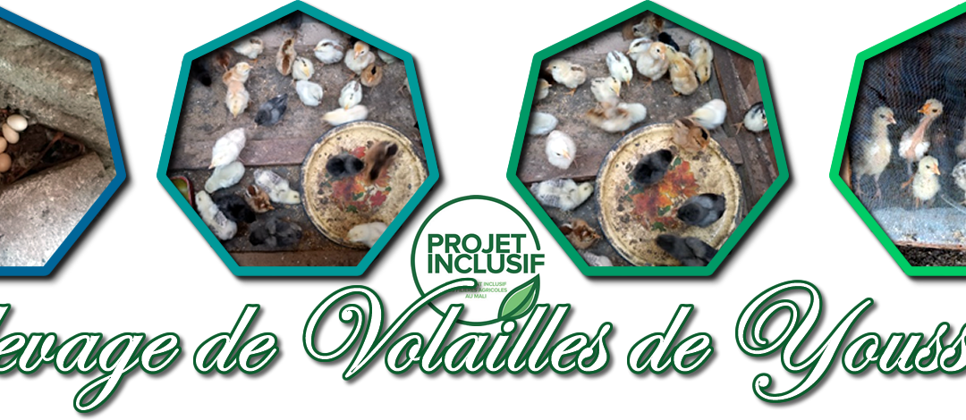 Itinéraire de Youssouf SAMAKE, Producteur agricole￼