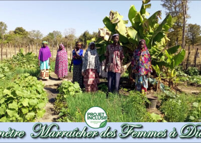 Autonomisation financière d’une association des femmes à Diamoko