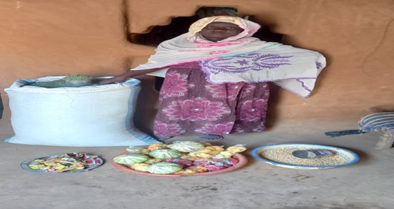 Rapport de cas de succès: Cas de Madame Sidibé Coumba Diallo commerçante dans le village de Bougoutinti commune de Gory Gopela