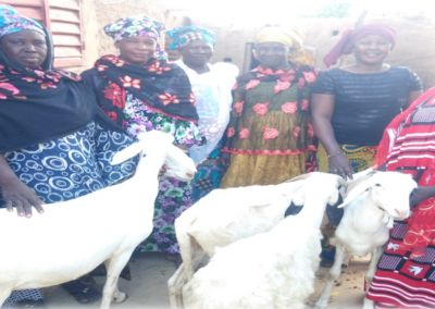 Cas de succès du groupement Benkan des femmes de Tigabougou, dans la région de Ségou
