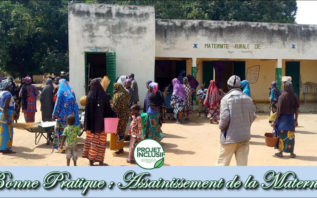 Cas de Bonne Pratique : Assainissement de la Maternité Rurale de Boundioba