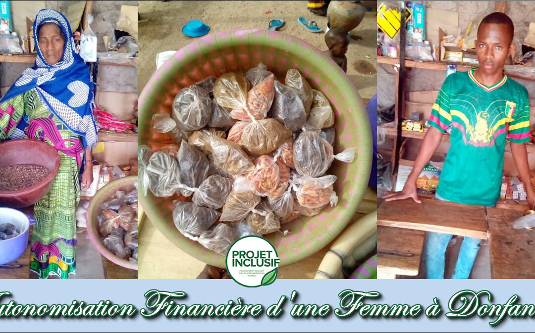 Autonomisation Financière d’une Femme Battante à Donfanaba