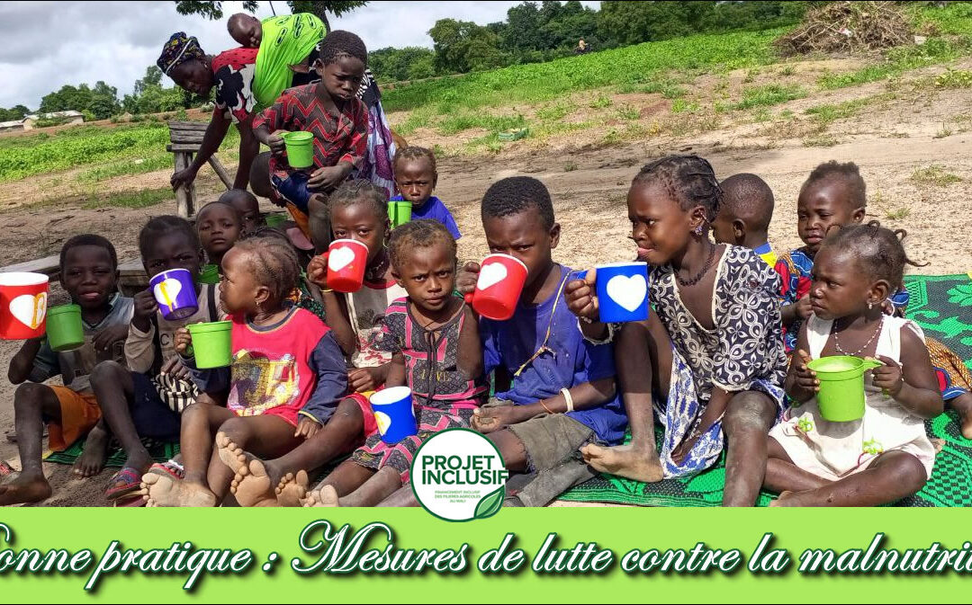 Cas de bonne pratique : Mesures de lutte contre la malnutrition : cas de l’instauration de la démonstration nutritionnelle du village de Toula
