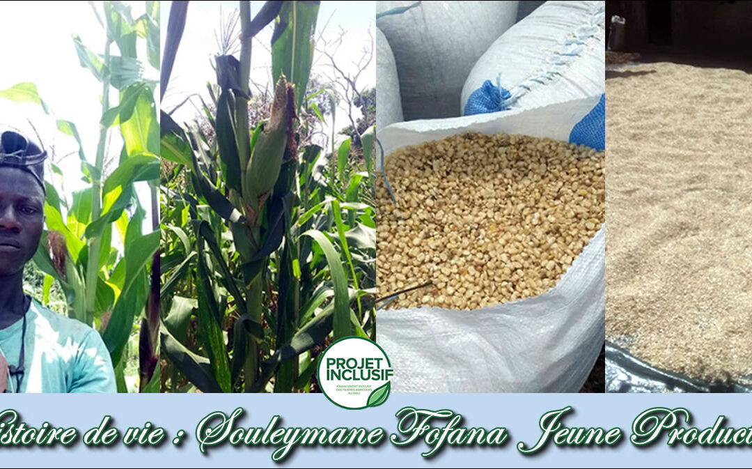 Histoire de Vie d’un Jeune Producteur de Maïs à Fakola