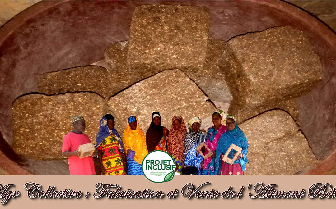 AGR collective à Sanga koba : fabrication et la commercialisation de l’aliment bétail « Kokokourou Nafama ».
