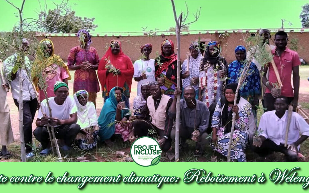 La lutte contre les effets des changements climatiques à travers le reboisement.