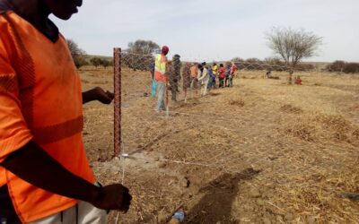 Réalisation des fosses compostieres à Koussane et à Sirimiylou et plusieurs infrastructure de franchissement dans le cadre des activités du SD3C