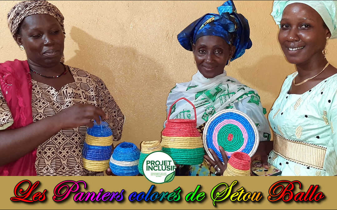 Initiative de recyclage de plastiques usés en paniers multi-usages prise par Sétou BALLO.
