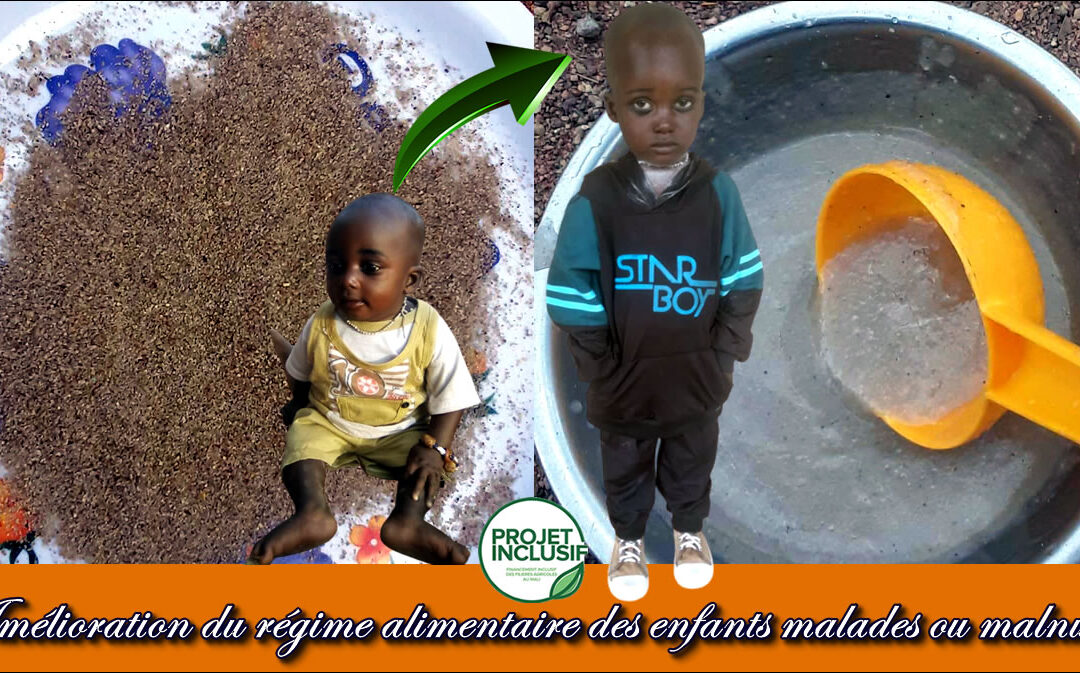 Amélioration des régimes alimentaires des enfants malades ou malnutris dans le village de Djalacorosso, Zégoua.