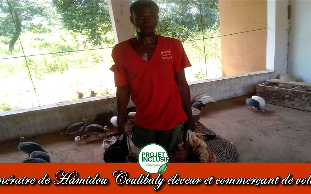 Itinéraire de Hamidou Coulibaly éleveur et commerçant de volaille.