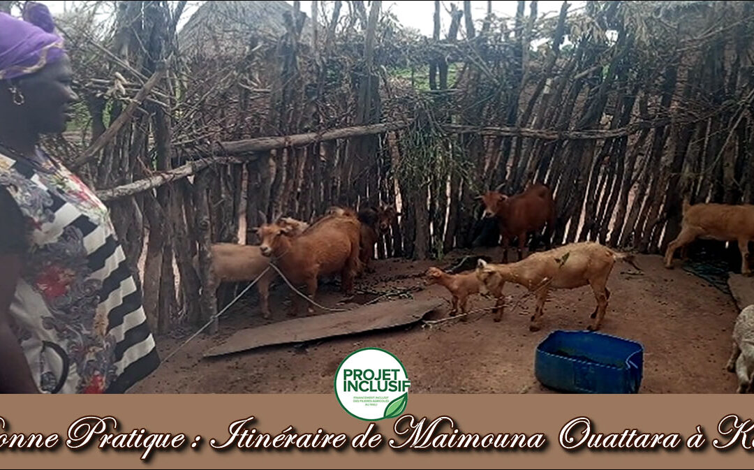 Bonne Pratique : Itinéraire de Maïmouna Ouattara à Katon.