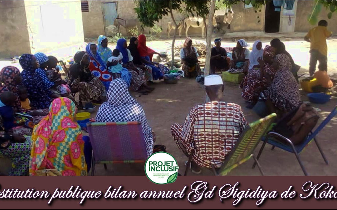 Restitution publique du bilan annuel du GD Sigidiya de Kokouna.