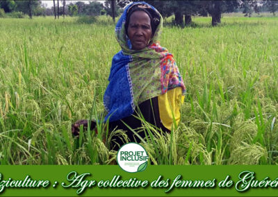 Initiative de la Riziculture AGR collective des femmes de Guérékélé.