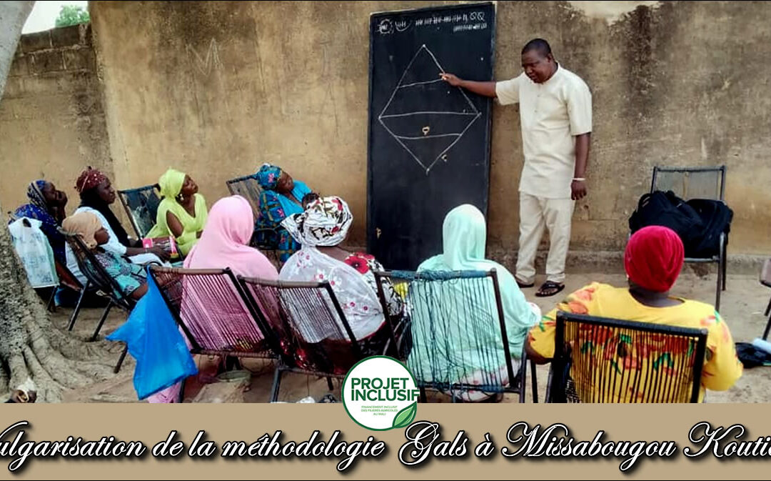 Vulgarisation de la méthodologie GALS (Gender Actions Learning System) ou système d’apprentissage basé sur le genre à Missabougou Koutiala à Missabougou-Koutiala