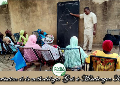 Vulgarisation de la méthodologie GALS (Gender Actions Learning System) ou système d’apprentissage basé sur le genre à Missabougou Koutiala à Missabougou-Koutiala