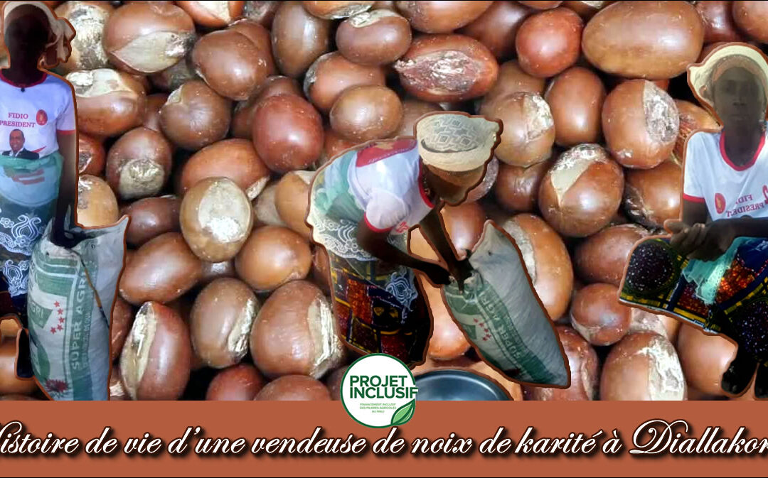 Histoire de vie d’une vendeuse rurale de noix de karité à Diallakorosso, Zégoua.