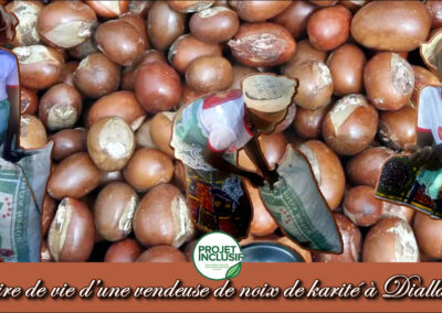 Histoire de vie d’une vendeuse rurale de noix de karité à Diallakorosso, Zégoua.