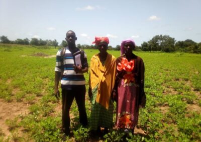 Champ collectif des femmes du GD BENKADI de Kéniékéniékolen dans le cercle de Kita
