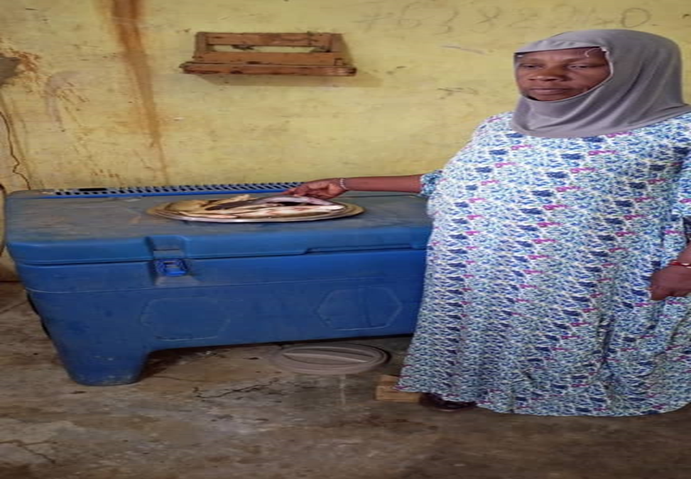 Poissonnerie de Fatoumata Diakité à Gagny dans la commune de Guidimakan Kery-Kafo kayes
