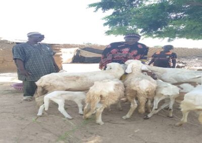 Autonomisation des femmes, le cas de Madame Aichata Sanogo en est une illustration,membre du groupement de femme « Badeya » dans le village de Tonguè, commune de Tonguè, cercle de Macina