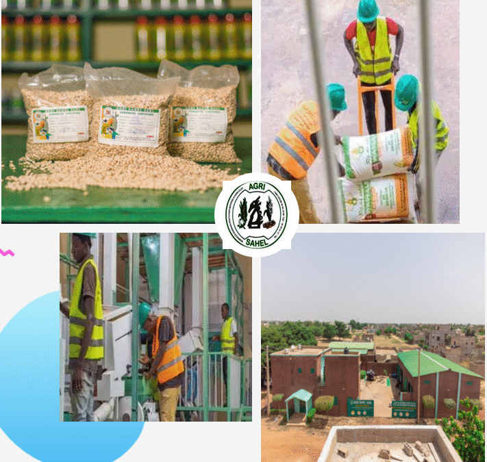 CAS DE SUCCÈS : PMEA AGRI SAHEL – Un acteur majeur de la transformation du riz dans la région de Ségou grace à l&rsquo;accompagnement du Projet Inclusif.